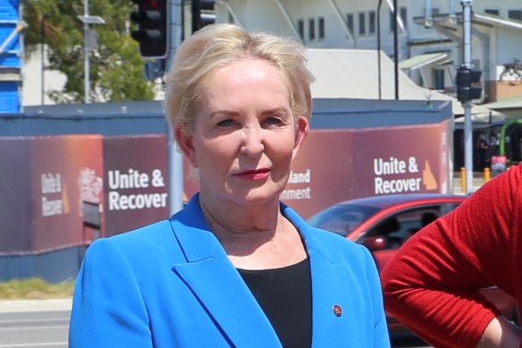 LNP health spokeswoman Ros Bates says Shannon Fentiman must explain how the digital system could experience such a “catastrophic failure”.