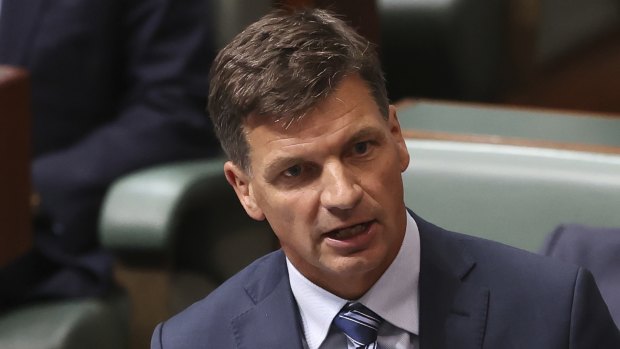 Minister for Energy and Emissions Reduction Angus Taylor wants big companies to say how they’re going to achieve their net-zero emissions targets.