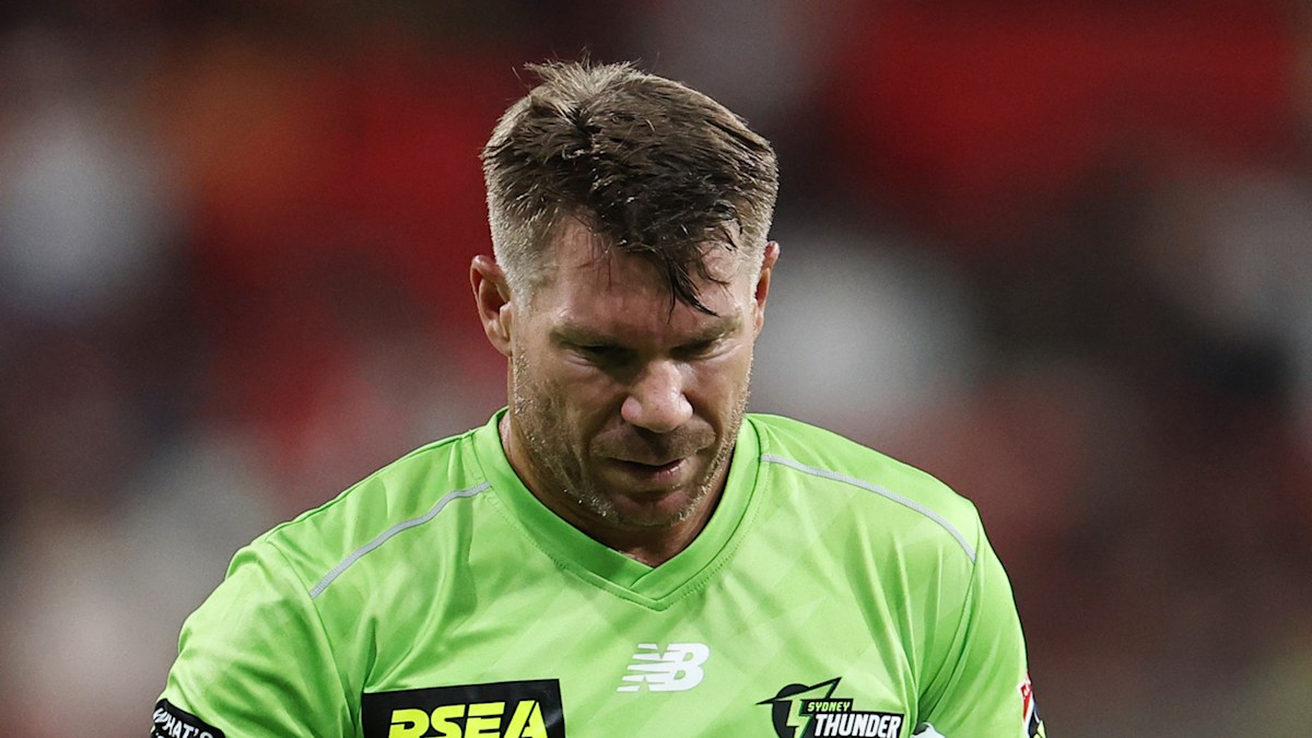 David Warner drink-driving: Former Test cricketer pleads guilty to drink-driving over Easter