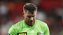 David Warner has asked for leniency, but has accepted he should be sentenced as a regular citizen.