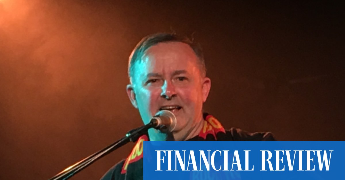 Federal politics: Prime Minister Anthony Albanese needs his mojo back - Vimarsana News