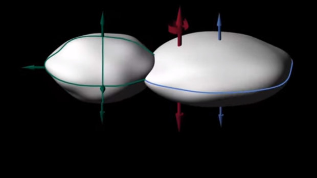 Arrokoth's 3D shape points to how it was formed from the gentle merger of two objects in the same pebble cloud. 