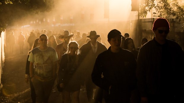 Crowds at Splendour in the Grass.