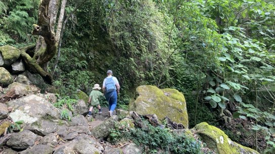 Us in Lamington National Park, part of the ancient Gondwana Rainforests of Australia World Heritage Area. 
