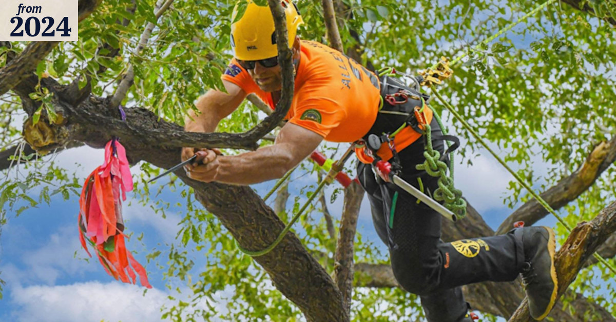 Tree climbing world champion: Australian tree climbing champion to ...