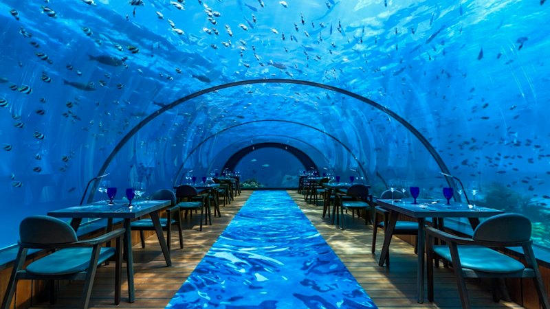 Twelve brilliant holiday activities you didn’t know were possible (australia) — SMH