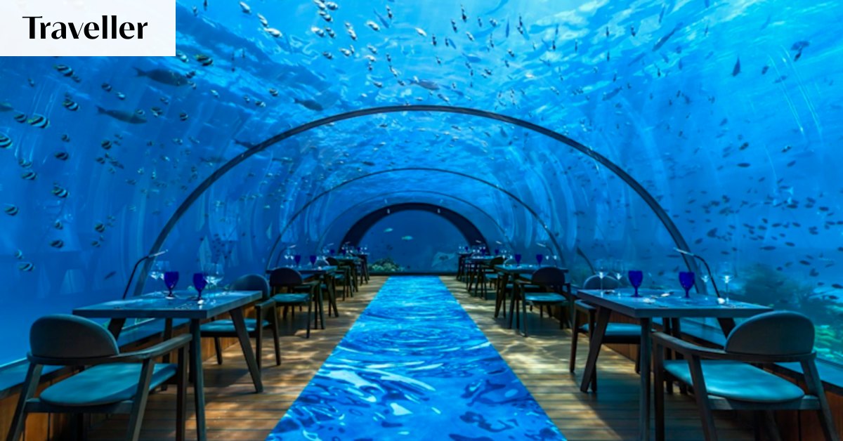 Twelve brilliant holiday activities you didn’t know were possible