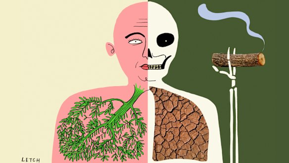 Illustration: Simon Letch 