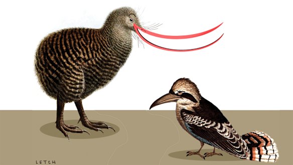 Illustration:  Simon Letch