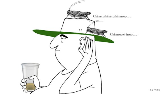 Illustration: Simon Letch