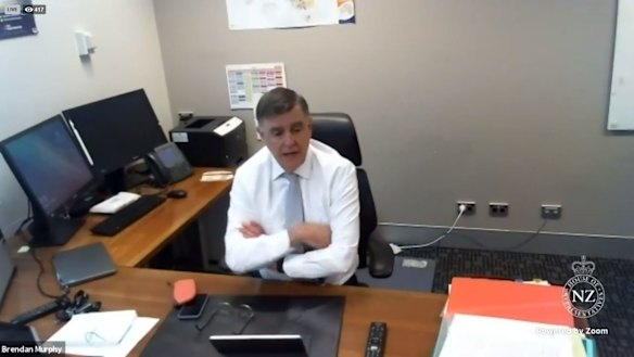 Chief Medical Officer Professor Brendan Murphy speaking to NZ Parliament via video conferencing.