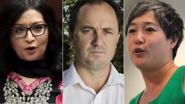 Mehreen Faurqi and Jenny Leong are not satisfied with the investigation into  Jeremy Buckingham - but it is unclear why.