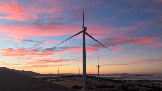 The new turbines will be around 100 metres taller than those at the Ararat wind farm in western Victoria.