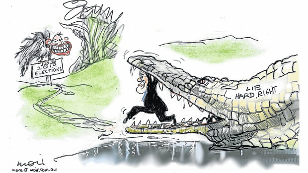 Illustration: Alan Moir