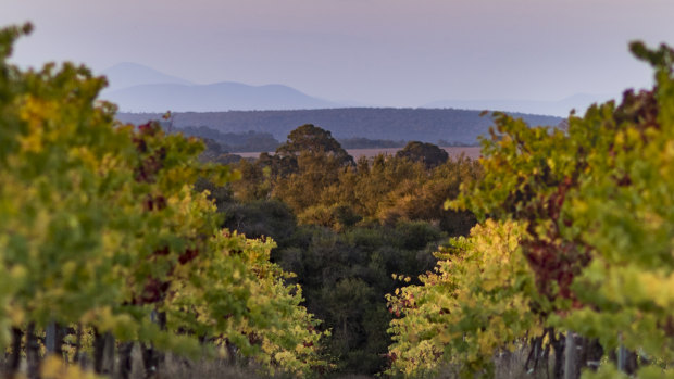 The 160-acre property in the Porongurups includes the Duke's Vineyard winery.
