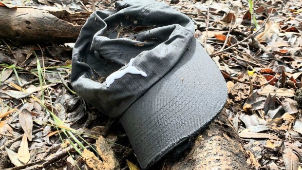 The grey cap found in bushland off a Byron Bay beach that is believed to belong to missing backpacker Theo Hayez.