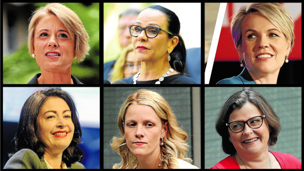 Clockwise: Kristina Keneally, Linda Burney, Tanya Plibersek, Terri Butler, Clare O’Neil, Ged Kearney.