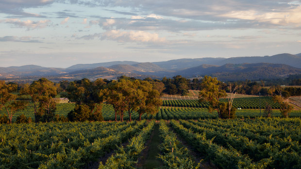 Australia’s 52 top wineries of 2024