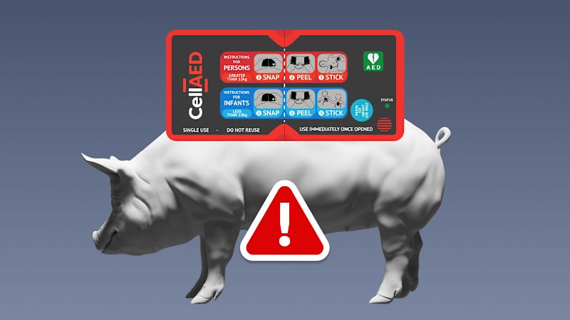 Tested on pigs, bad data but given to ambos anyway: Homegrown defibrillator’s red flags