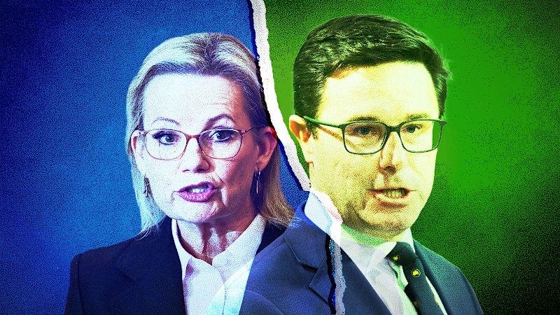 The Nationals’ decision on net zero will push Sussan Ley’s leadership to the brink