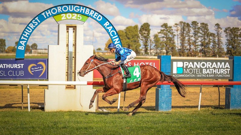 ‘Bugger it, why not?’: Homebred bush beast taking on the millionaires