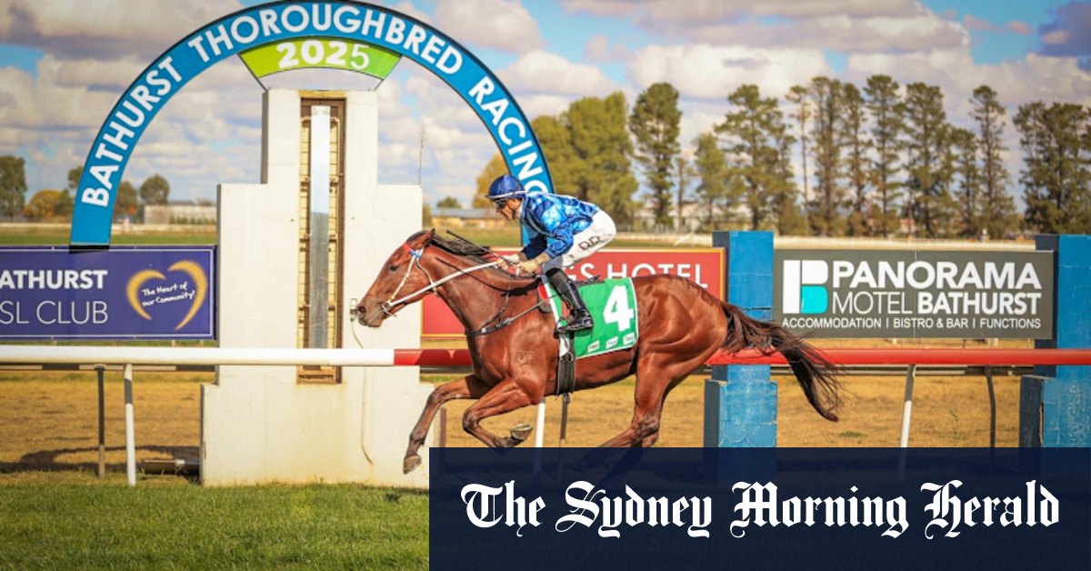 ‘Bugger it, why not?’: Homebred bush beast taking on the millionaires