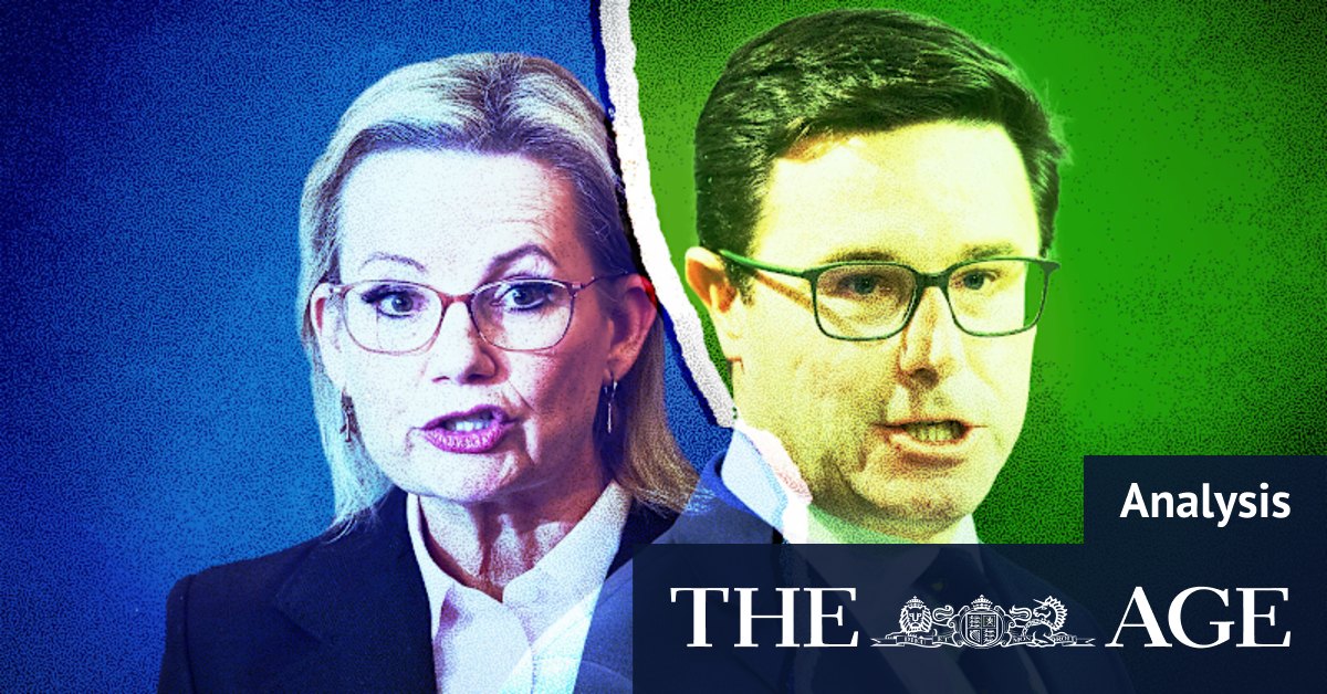 The Nationals’ decision on net zero will push Sussan Ley’s leadership to ...