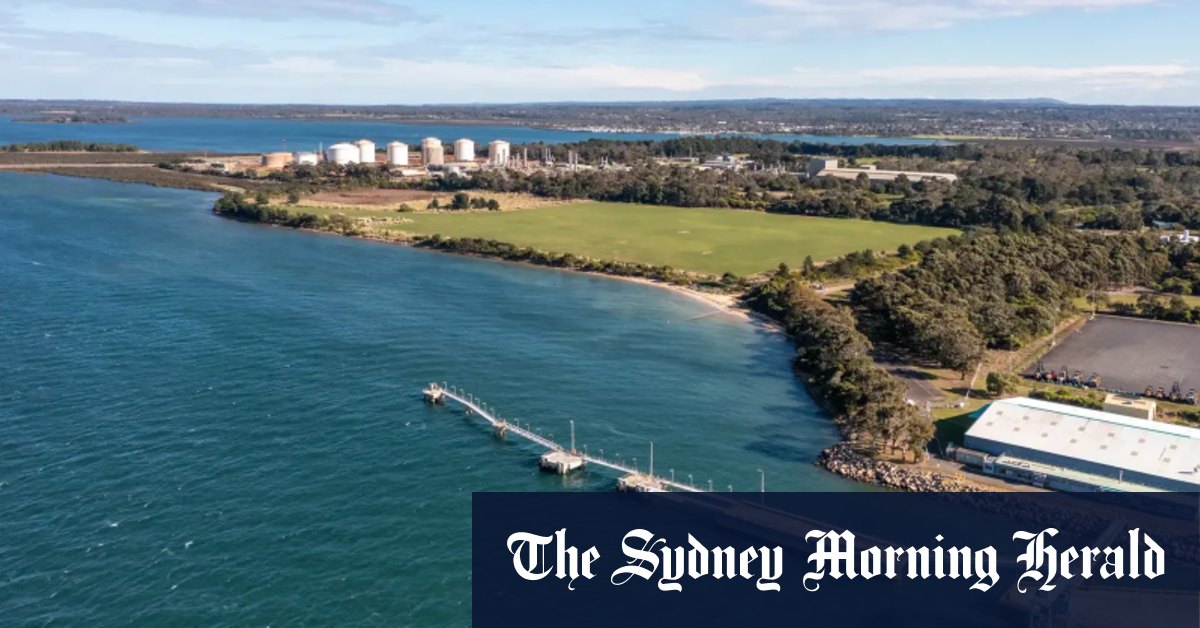 Tanya Plibersek rejected this clean energy project. The Allan government is trying again