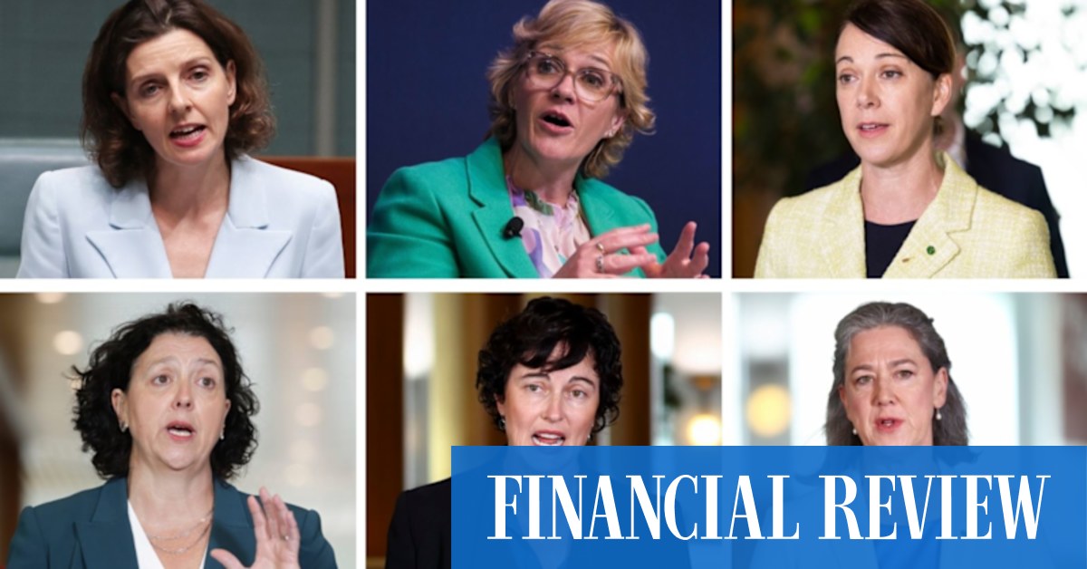 Scamps open to teal independents party proposal