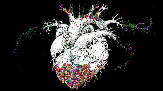 Microplastics have been found in the human heart and in our blood – and scientists are racing to understand the health impacts.