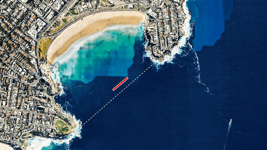 Shark nets could be removed permanently from Sydney beaches.