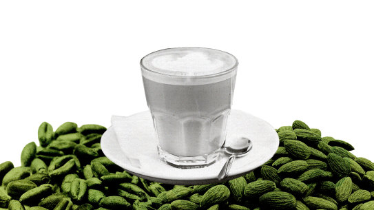 PLant milk explainer 