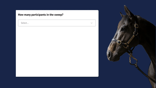 The Melbourne Cup sweep.