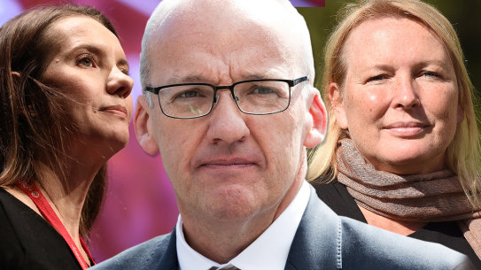 Fight to replace Luke Foley began before he'd even quit NSW Parliament