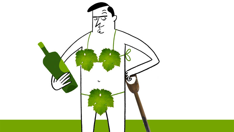 Identifying Grapevine Varieties