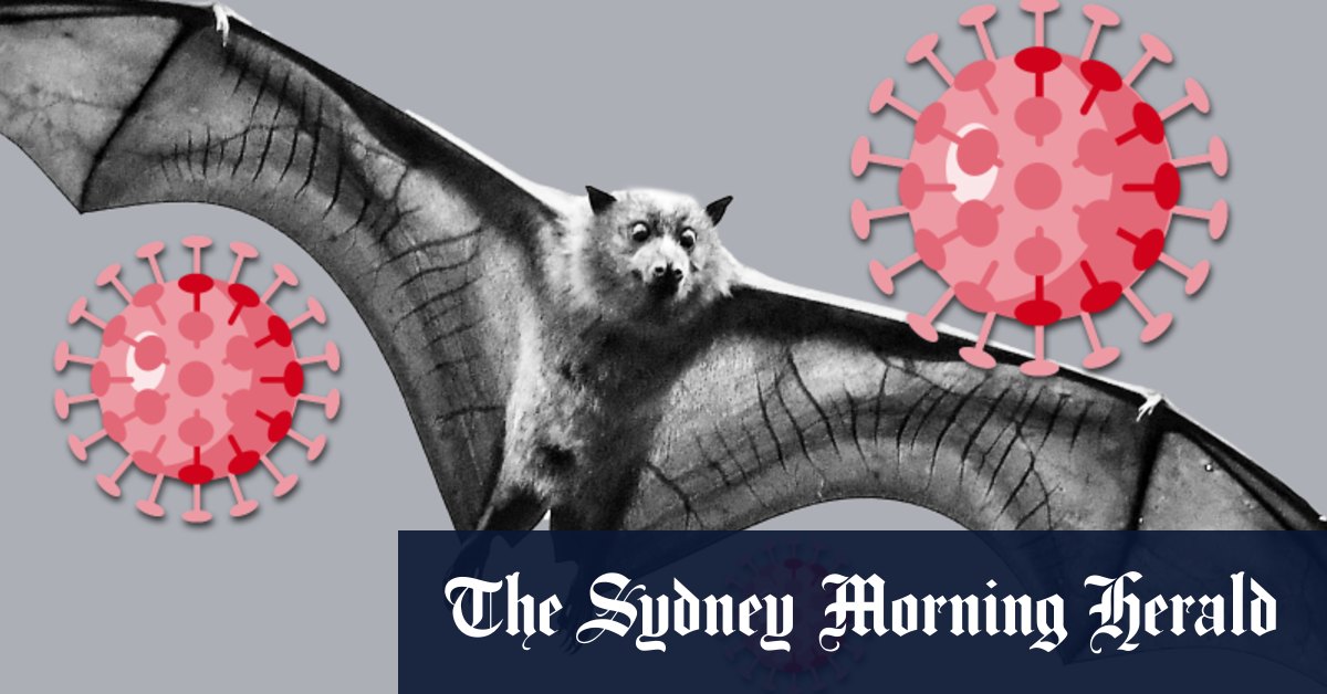 Coronavirus Australia Your Covid 19 Questions Answered