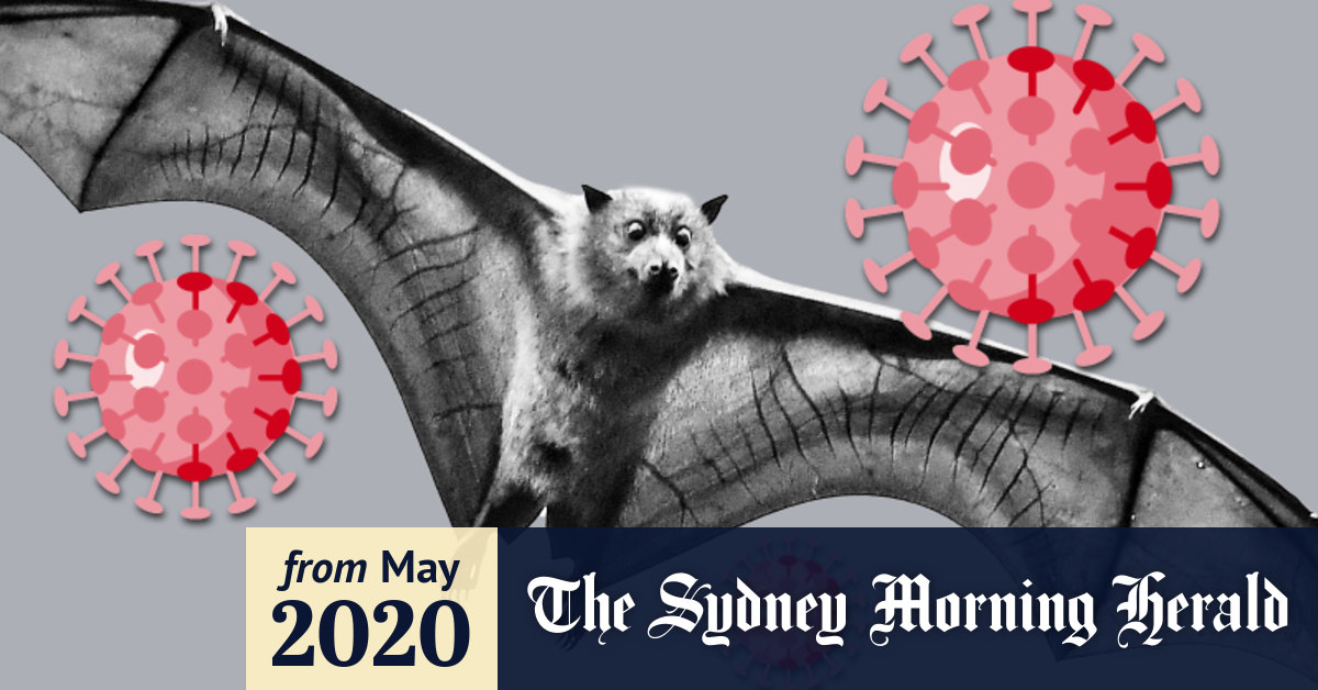 Coronavirus Australia Your Covid 19 Questions Answered