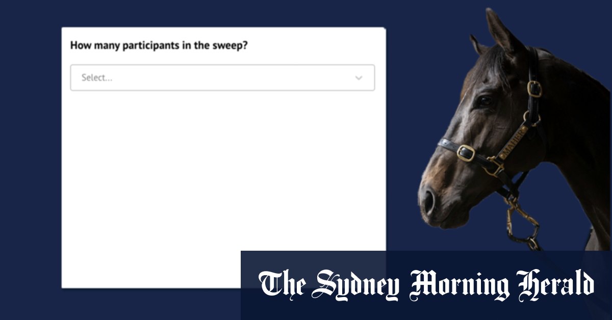 Melbourne Cup 2024 Sweep generator from The Age, online sweep generator