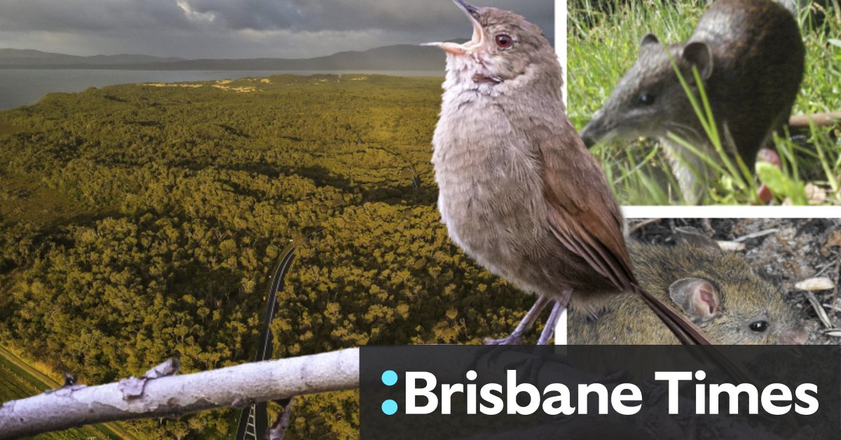 Wilson's Promontory National Park to become a climate refuge for Australian wildlife - Vimarsana News