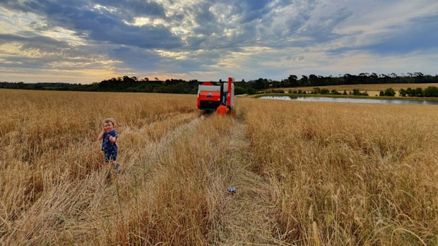 Tuerong Farm on the Peninsula, where Jason Cotter is working overtime to meet the huge demand for flour during the coronavirus pandemic.