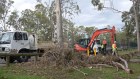 Relief teams clear up parts of the Gold Coast after wild storms. 