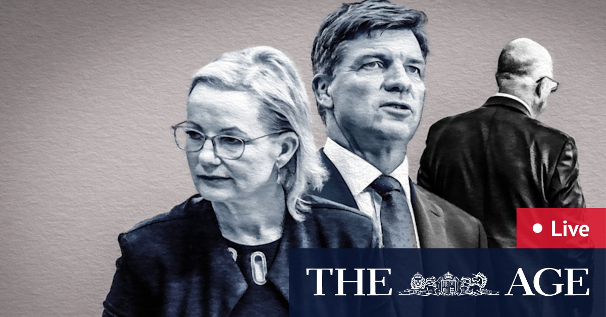 Price says people ‘would love to see’ her as PM; Ley becomes Opposition leader; Goldstein, Bradfield votes close