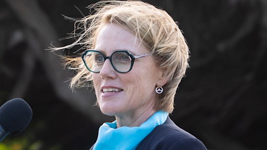 Independent candidate Zoe Daniel says the government is bullying and threatening rather than listening. 