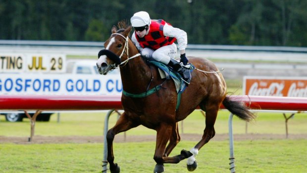 There are seven races on the schedule in Gosford today.