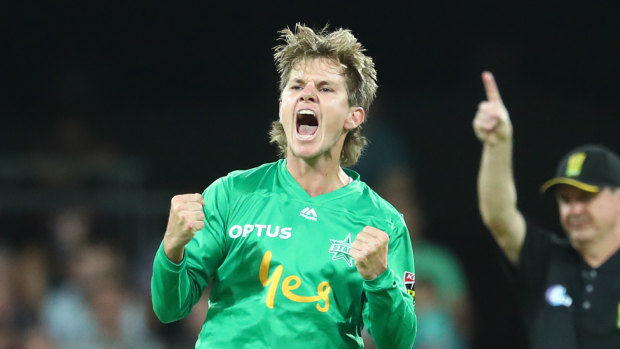 Star turn: Adam Zampa celebrates a wicket for Melbourne.