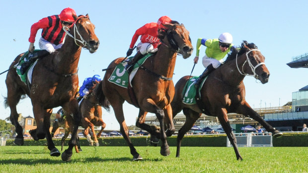 Kerrin McEvoy punches Misteed between True Detective (right) and Lifetime Quest.