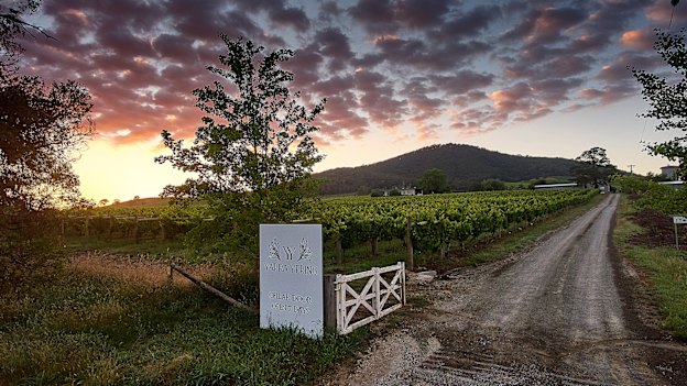 Yarra Yering’s 2018 Carrodus shiraz scored the maximum 99 points.