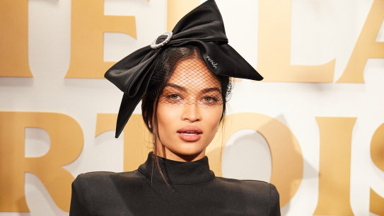 Shanina Shaik