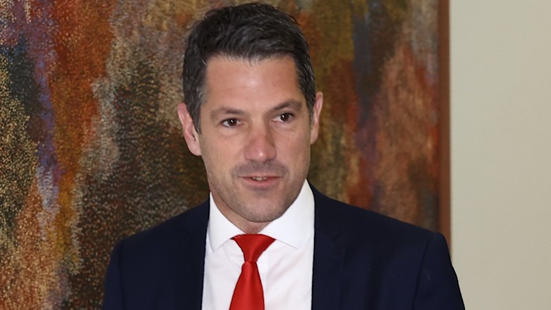 Thorn in the side: Antic’s Liberal Party future at risk after praise for One Nation