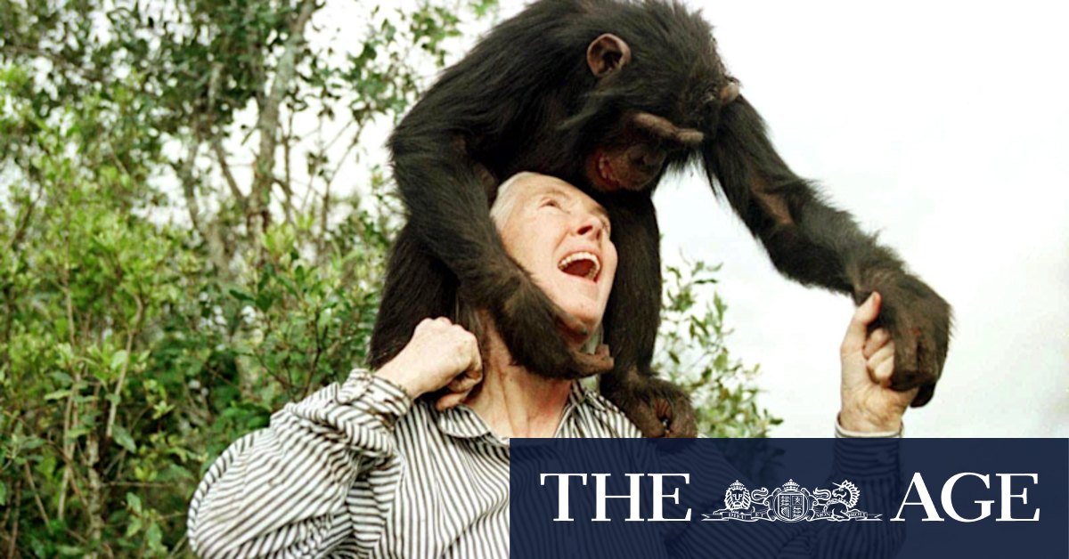Jane Goodall, conservationist renowned for chimpanzee research, dies at 91